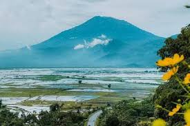 Mela barbie hot pantura dangdut goyang hot saweran. Pendangkalan Dan Eceng Gondok Danau Rawa Pening Kab Semarang Bisa Untuk Pulau Buatan