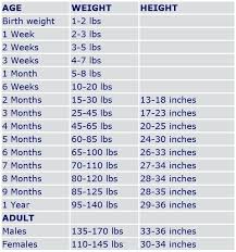 Reasonable 1 Year Old Baby Height Chart Weight Chart For 11