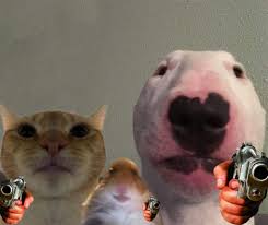 Weitere ideen zu profilbilder, bilder, lustige buttons. I L I K E M E M E S On Twitter Susse Memes Memes Humor Meme Lustig