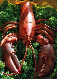 Know ahead of time how you'll pick up the lobsters, especially if you're buying them live. Easy Entertaining A Lobster Feast Party Planning Recipes Food Dining Magazine