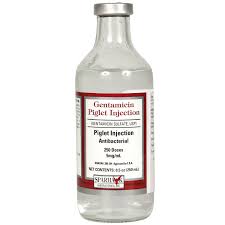 Image result for Gentamicin