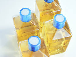 We did not find results for: An Introduction To Cell Culture Lonza