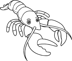 You can choose up to 3 colors. Seafood Drawing For Kids Novocom Top