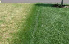 Chances are, when you notice a beautiful property in this area, it's usually the result of our lawn care services and maintenance plans. Landscaper Near Me Get Your Quote Fast Jd Organic Landscape