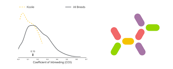 Dog Inbreeding Its Consequences And Its Quantification