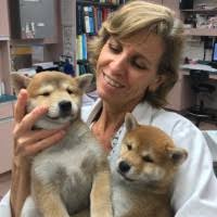 #emeraldhillsanimalhospital #champ #bostonterrier #bostonterriersofig #bostonterriersofintagram #dogsandballs #handsomedoggo #doggo #. Catalina Kesseru Veterinarian Southern Veterinary Partners Linkedin