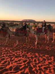 How to cook brisket in the slow cooker. In Room Bar Fridge Coffee Pot Area Picture Of Longitude 131 Yulara Tripadvisor
