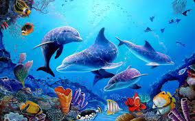 Check spelling or type a new query. Pin By Azizah On Allerlei Mij Closed Aquarium Live Wallpaper Dolphins Animals