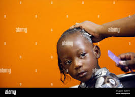 Touch me not impatiens sp hi-res stock photography and images