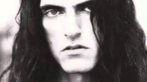 GayCultureLand: Pansy Division