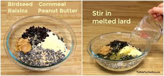 Making homemade bird seed is a great way to feed birds a nutritious and much needed wintertime meal. Make Your Own Homemade Birdseed Cakes