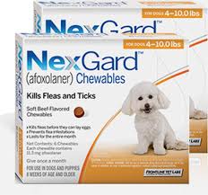 Nexgard flea & tick chewables for dogs and other products can be found at entirelypets rx, the #1 source for fulfilling all of your pet needs. Nexgard Chews For Dogs 4 10 Lbs 2 4 Kg Orange 12 Chews Sierra Pet Meds