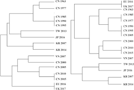 Image result for Lycium mascarenense