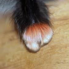 Spider web snake insect spider man. Did You Know That Spiders Have Adorable Tiny Paws