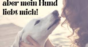 Panda ist von anderen diensten der universität abhängig. Hundespruche Hunde