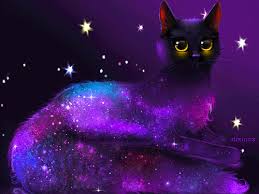 Pohozhee Izobrazhenie Cute Animal Drawings Cats Illustration Cat Drawing