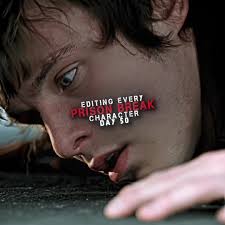 Seth Hoffner's Journey