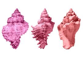 Image result for Pink 1958 Admiral