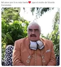 Camila cabello celebra su cumpleaños apapachada por shawn mendes Vicente Fernandez Y Su Mono Apretado Generan Divertidos Memes
