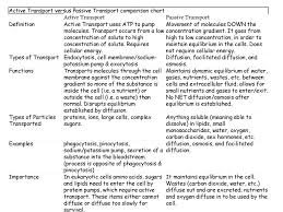 Lecture 6 Week3 Membrane Transport Ppt Download