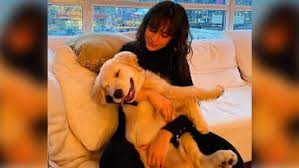 Nope, she isn't dating shawn mendes. Camila Cabello Boyfriend Latest News Information Updated On January 22 2021 Articles Updates On Camila Cabello Boyfriend Photos Videos Latestly