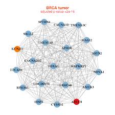 Amer 3 is een adres in brielle. Cancer Cell Metabolism Database Bioinformatics And Systems Medicine Laboratory