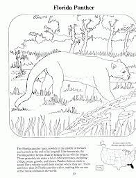 The diversity of sea life is amazing, with new species still being discovered all the time! Endangered Species Coloring Book Florida Panther Protecting Coloring Home