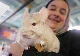 Herald News photos from around Greater Fall River, March 7, 2025