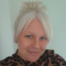 Where do people recommend getting new windows for a house from?