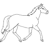 Le cheval (equus caballus) est un mammifère ongulé appartenant à l'une des sept espèces de la famille des équidés. Https Encrypted Tbn0 Gstatic Com Images Q Tbn And9gcrd57dfkmrlxiiuycxg0ephfy Qvc8jomajqyfetzmb4ffdpwfw Usqp Cau