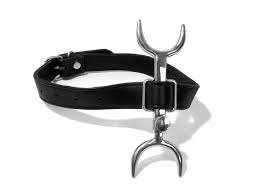 Heretics Fork Posture Collar Stainless Steel Neck Restraint With Adjustable  | Desertcart INDIA