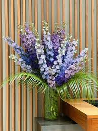 Image result for Delphinium