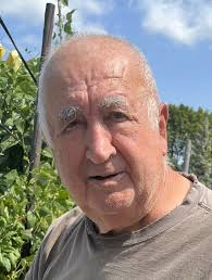 Contributions to the tribute of Nicola LoStracco