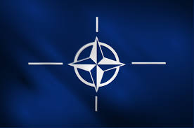 The soviet union and its affiliated. Nato Experts Center For Transatlantic Relations