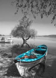 Black And White Background Landscape Pin By Cindy Miller On Colorsplash 2 In 2020 Color Splash Photography Selective Color Photography Black And White Background