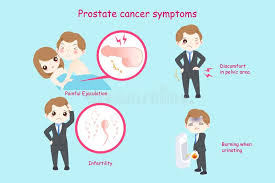 It is used to reduce the symptoms of prostate cancer and to slow the spread of aggressive prostatic cancers by blocking or reducing the production of male hormones. Man With Prostate Cancer Symptoms Stock Vector Illustration Of Female Orchitis 110899624