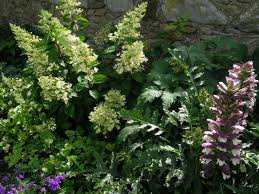 With over 10 years experience in garden design, landscaping and routine maintenance we are your most trusted source for all things to do with your garden. Traditional Garden Design Ayrshire Jeremy Needham Garden Landscape Designer Ayr Glasgow Scotland