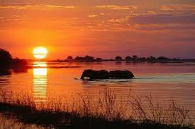 Sunrise At Mana Pools