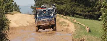 Maybe you would like to learn more about one of these? Todlicher Unfall In Deutschem Freizeitpark Freizeitpark News