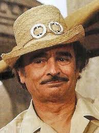 Carry On Blogging!: My Top 20 Favourite Carry On Actors: Number 7