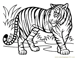 Coloring Pages Tiger Coloring Pages Gif 800 618 Tiger Drawing For Kids Tiger Drawing Animal Coloring Pages