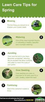 Lawn Care Tips For This Spring Lawn Care Tips Lawn Care Spring Care
