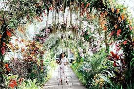 2900 southern blvd bronx, ny 10458. Bronx Botanical Garden Weekend In Nyc Botanical Gardens Orchid Show