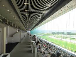 指定なし 北海道 青森 岩手 秋田 宮城 山形 福島 山梨 茨城 栃木 群馬 埼玉 千葉 東京 神奈川 長野 新潟 富山 石川 福井 静岡 愛知 岐阜 三重 滋賀 京都 大阪 兵庫 奈. Jraã‚¸ãƒ£ãƒ'ãƒ³cã®æŒ‡å®šå¸­ã«5ä¸‡äººãŒå¿œå‹Ÿ ç«¶é¦¬ãƒ˜ãƒƒãƒ‰ãƒ©ã‚¤ãƒ³