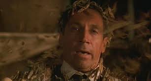 Why Are There So Many Grasshoppers in Wichita Falls?