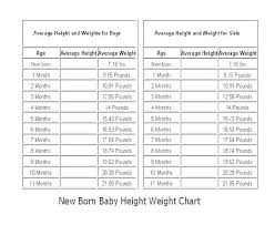 Body Measurement Chart Template Metabots Co