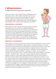 Guarda il video l'alimentazione che passa in rassegna le principali sostanze nutritive, tutte necessarie per una dieta sana ed equilibrata. Riassunto Processo Alimentazione Docsity