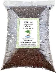 We did not find results for: Amazon Com Money Tree Soil Soil Mix For Planting Or Repotting Money Tree 4qt One Gallon Bag Of Soil Blended To Properly Grow Money Tree Plants Patio Lawn Garden