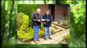 Was kostet die letzte ruhestätte unter bäumen? Beerdigung Tree Of Life Baumbestattung Naturbestattung Bestatter Wurzburg Youtube