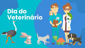 Siempre recomiendo tener a un veterinario localizado para el momento del parto. Dia Do Veterinario Medico Veterinario Youtube
